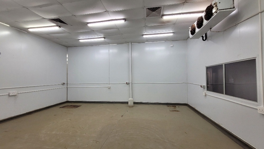 To Let commercial Property for Rent in Epping Industrial Western Cape